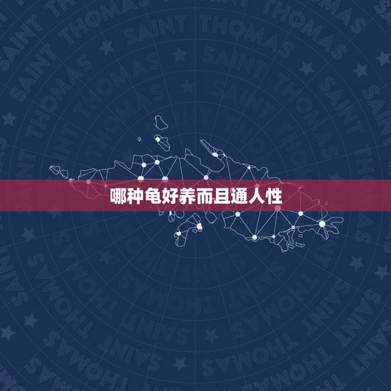 哪种龟好养而且通人性，哪种乌龟比较好养