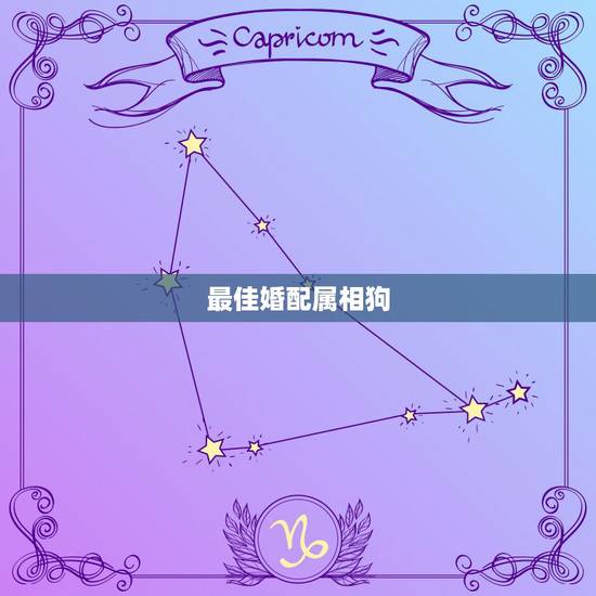 最佳婚配属相狗,属狗人的婚配适合什么属相 最佳婚配属相狗,属狗人的婚配适合什么属相
