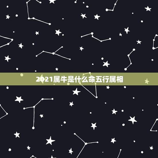 2021属牛是什么命五行属相，2021年属牛二月出生是什么命