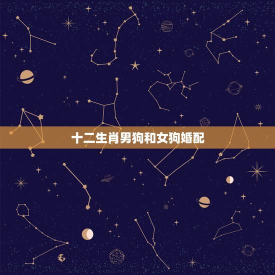 十二生肖男狗和女狗婚配，男狗女狗属相相配吗