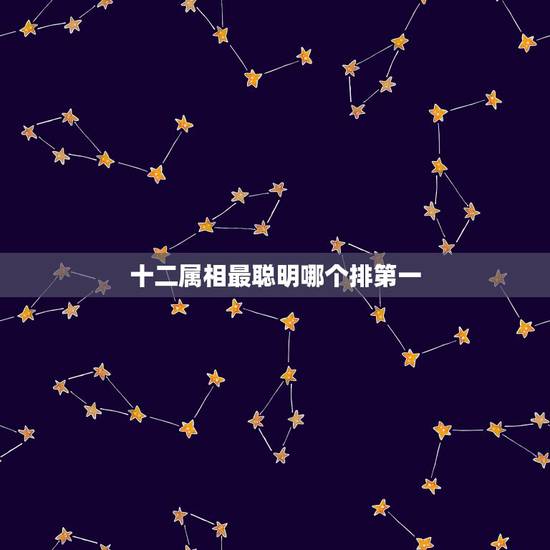 十二属相最聪明哪个排第一，十二生肖谁最聪明？