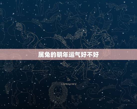 属兔的明年运气好不好，75年属兔47岁有一灾