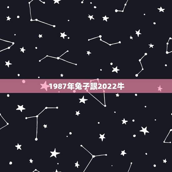 1987年兔子跟2022牛,1987年的兔子是什么命 1987年兔子跟2022牛,1987年的兔子是什么命