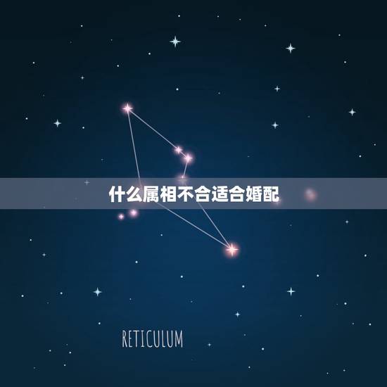 什么属相不合适合婚配，婚配说属相不合不易结婚，这些人结婚后真的过不好吗