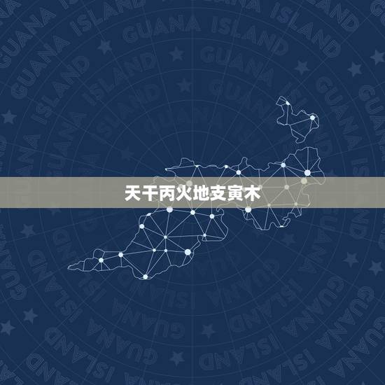 天干丙火地支寅木,地支财算不算妻 天干丙火地支寅木,地支财算不算妻