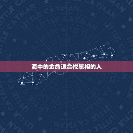 海中的金命适合找属相的人，金命人和什么人匹配
