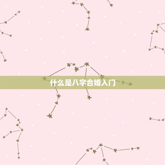 什么是八字合婚入门，八字合婚是什么意思啊？