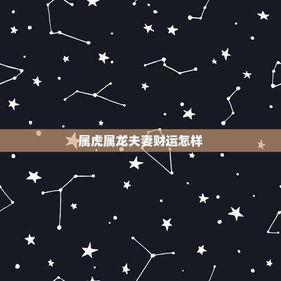 属虎属龙夫妻财运怎样,属龙属龙夫妻财运怎样 属虎属龙夫妻财运怎样,属龙属龙夫妻财运怎样
