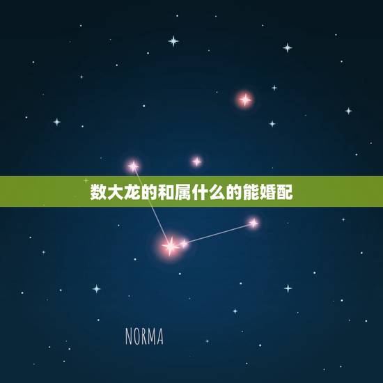 数大龙的和属什么的能婚配，属相婚配：男属龙和女属龙相配吗