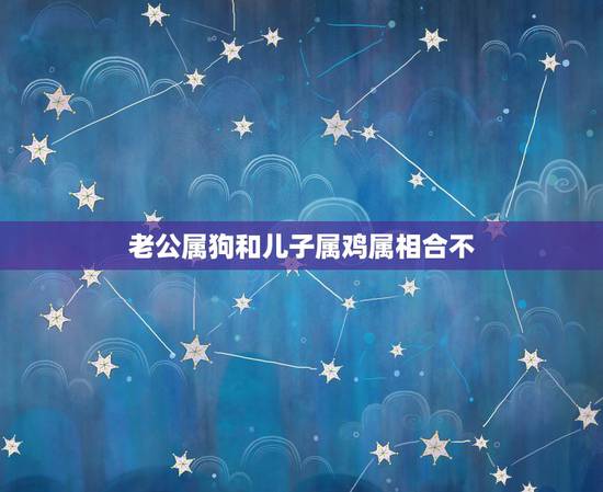 老公属狗和儿子属鸡属相合不，请问属狗和属鸡的真的不能相配吗