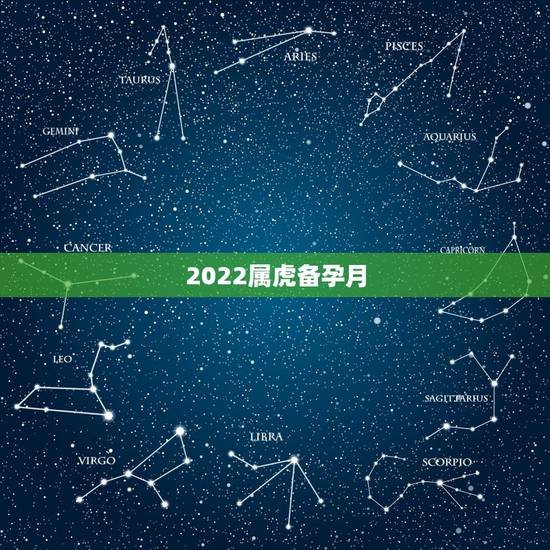 2022属虎备孕月，2023年属兔的是什么命