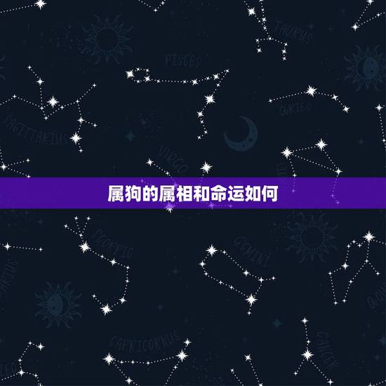 属狗的属相和命运如何,属狗人的命运如何 属狗的属相和命运如何,属狗人的命运如何