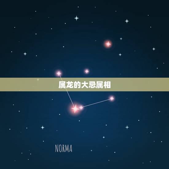 属龙的大忌属相，属蛇的婚配属相