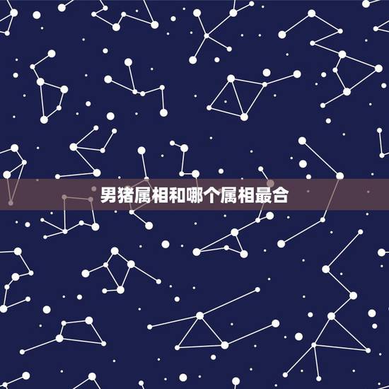 男猪属相和哪个属相最合，属猪人2022 年运势