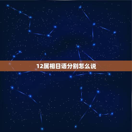 12属相日语分别怎么说,日语数字1,2,3,4,5,6,7,8,9,1 12属相日语分别怎么说,日语数字1,2,3,4,5,6,7,8,9,1