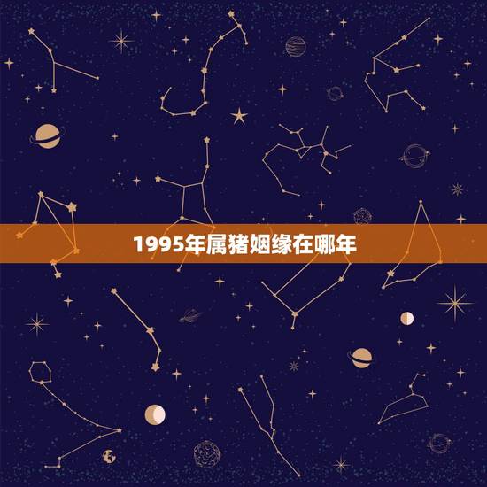 1995年属猪姻缘在哪年,95年属猪的姻缘方位 1995年属猪姻缘在哪年,95年属猪的姻缘方位
