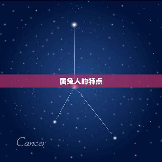 属兔人的特点 属兔人的特点