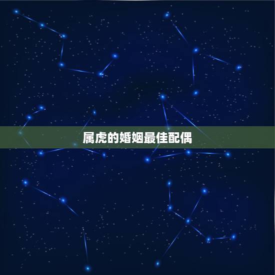 属虎的婚姻最佳配偶,属虎的最佳婚配 属虎的婚姻最佳配偶,属虎的最佳婚配