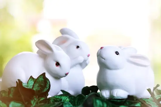 属兔的今年多大2012(如何算出你的年龄)