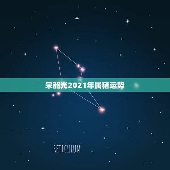 宋韶光2021年属猪运势,2021年属猪的全年运程 宋韶光2021年属猪运势,2021年属猪的全年运程