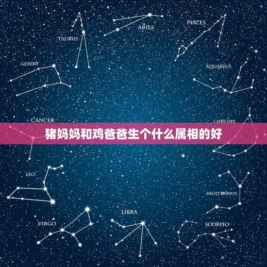 猪妈妈和鸡爸爸生个什么属相的好，1969的鸡和1983年的猪婚姻匹配