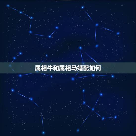属相牛和属相马婚配如何,属马和属牛的可以在一起么? 属相牛和属相马婚配如何,属马和属牛的可以在一起么?