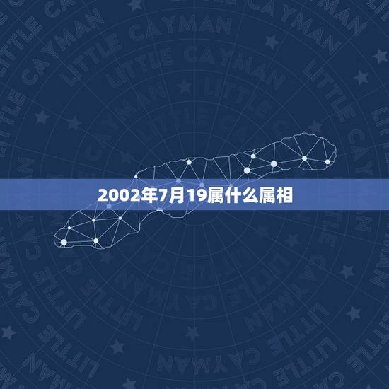 2002年7月19属什么属相，2017年7月19日什么属相