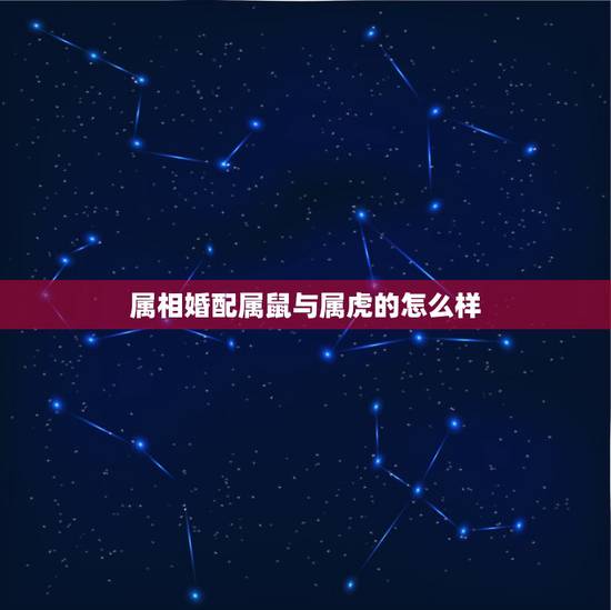 属相婚配属鼠与属虎的怎么样,属鼠和属虎的婚姻怎么样 属相婚配属鼠与属虎的怎么样,属鼠和属虎的婚姻怎么样
