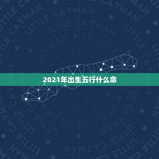 2021年出生五行什么命，2021年五行属什么，缺什么
