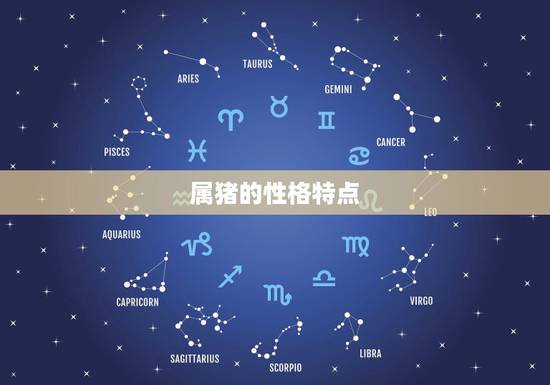 属猪的性格特点,生肖猪性格特点 属猪的性格特点,生肖猪性格特点