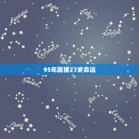 95年属猪27岁命运，1983属猪女命运