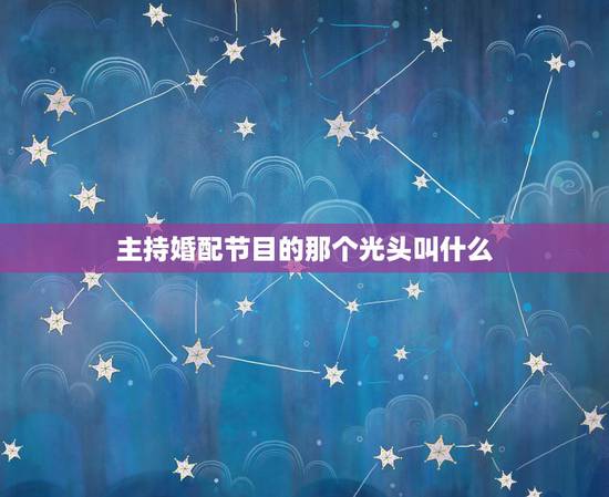 主持婚配节目的那个光头叫什么，中央电视台光头的那个主持人叫什么