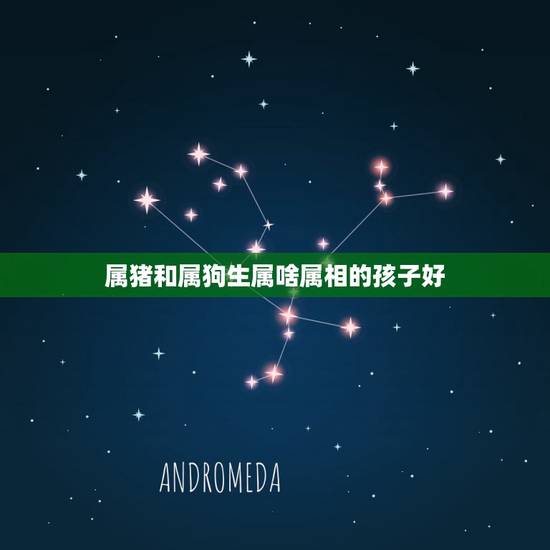 属猪和属狗生属啥属相的孩子好,男属狗和女属虎配吗 详细 属猪和属狗生属啥属相的孩子好,男属狗和女属虎配吗 详细