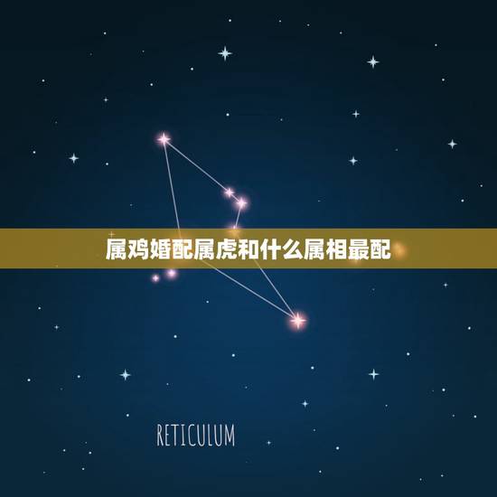 属鸡婚配属虎和什么属相最配，属鸡的和属虎的属相配吗