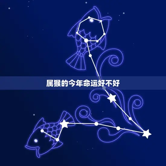 属猴的今年命运好不好 属猴的今年命运好不好