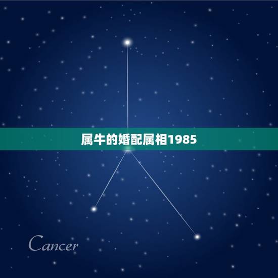 属牛的婚配属相1985,1985属牛女和1985年属牛男配吗? 属牛的婚配属相1985,1985属牛女和1985年属牛男配吗?