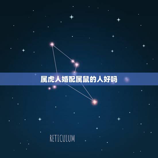 属虎人婚配属鼠的人好吗,属虎人与属鼠人相生相克吗 属虎人婚配属鼠的人好吗,属虎人与属鼠人相生相克吗