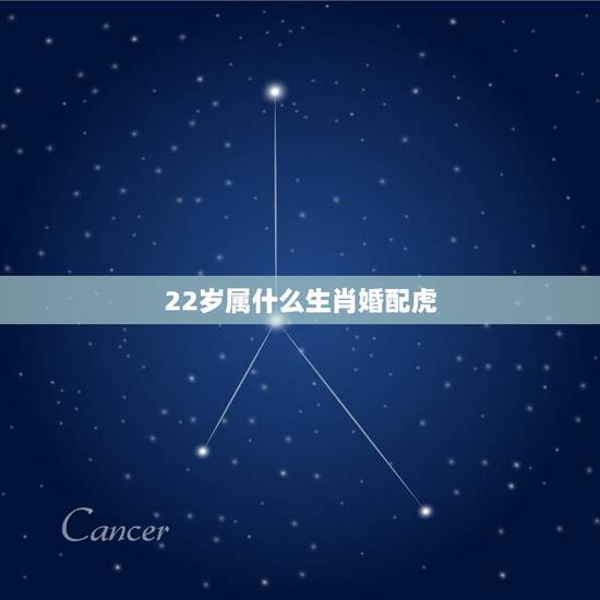 22岁属什么生肖婚配虎,22岁属什么的生肖2021 22岁属什么生肖婚配虎,22岁属什么的生肖2021