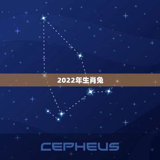 2022年生肖兔，2022年生肖猪运势完整版