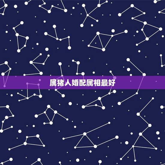 属猪人婚配属相最好，属猪的和什么属相最配