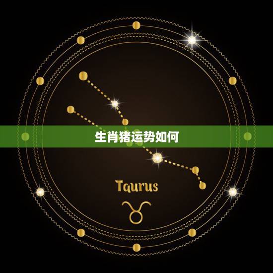 生肖猪运势如何，生肖猪今年运势