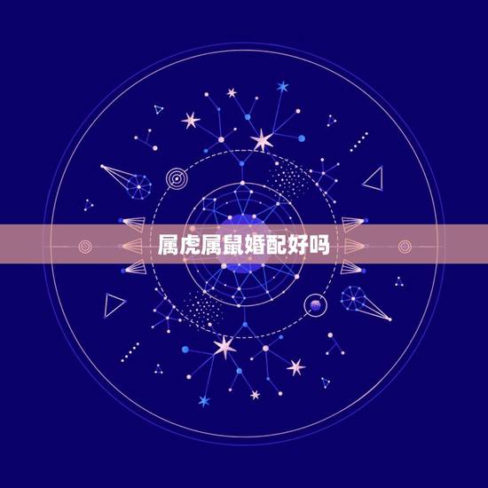 属虎属鼠婚配好吗,72属鼠配夫妻74属虎的好吗 属虎属鼠婚配好吗,72属鼠配夫妻74属虎的好吗