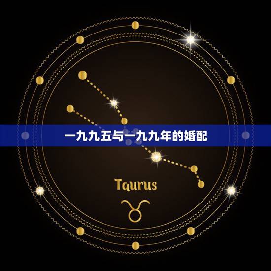 一九九五与一九九年的婚配，一九九五年男与一九九七年女的婚配