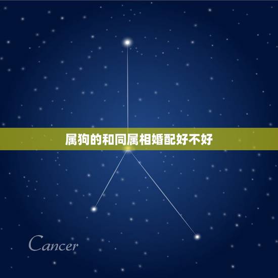 属狗的和同属相婚配好不好,属狗与狗的属相婚配表和好吗? 属狗的和同属相婚配好不好,属狗与狗的属相婚配表和好吗?