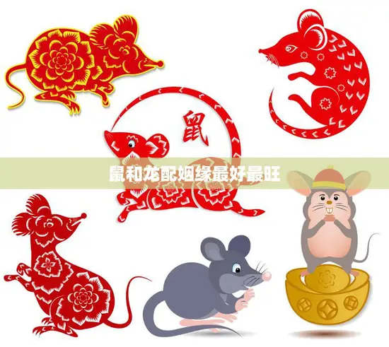 鼠和龙配姻缘最好最旺(传统文化中的黄金搭配) 鼠和龙配姻缘最好最旺(传统文化中的黄金搭配)