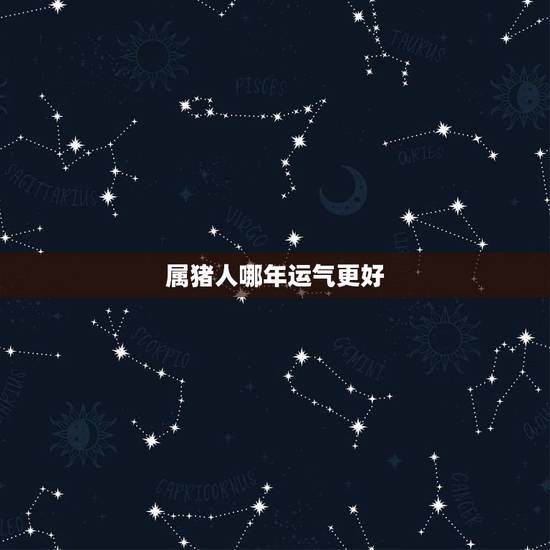 属猪人哪年运气更好,属猪的在2022 年好不好 属猪人哪年运气更好,属猪的在2022 年好不好
