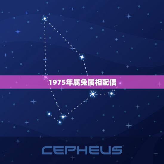 1975年属兔属相配偶，75属兔和那个属相最配偶