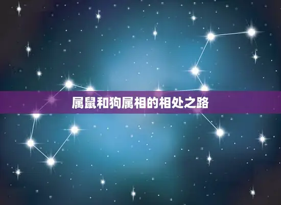 属鼠和狗属相的相处之路 属鼠和狗属相的相处之路
