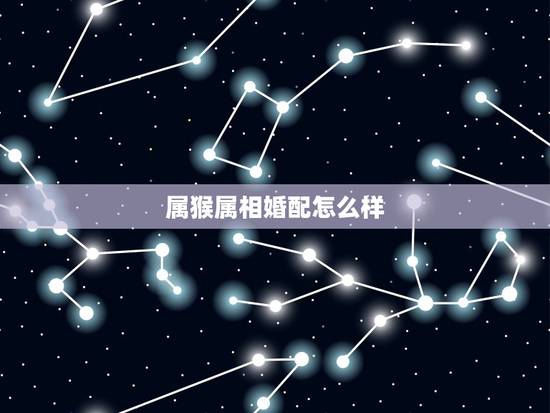 属猴属相婚配怎么样，女属猴的属相婚配表