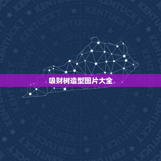 吸财树造型图片大全，聚财型发财树图片？